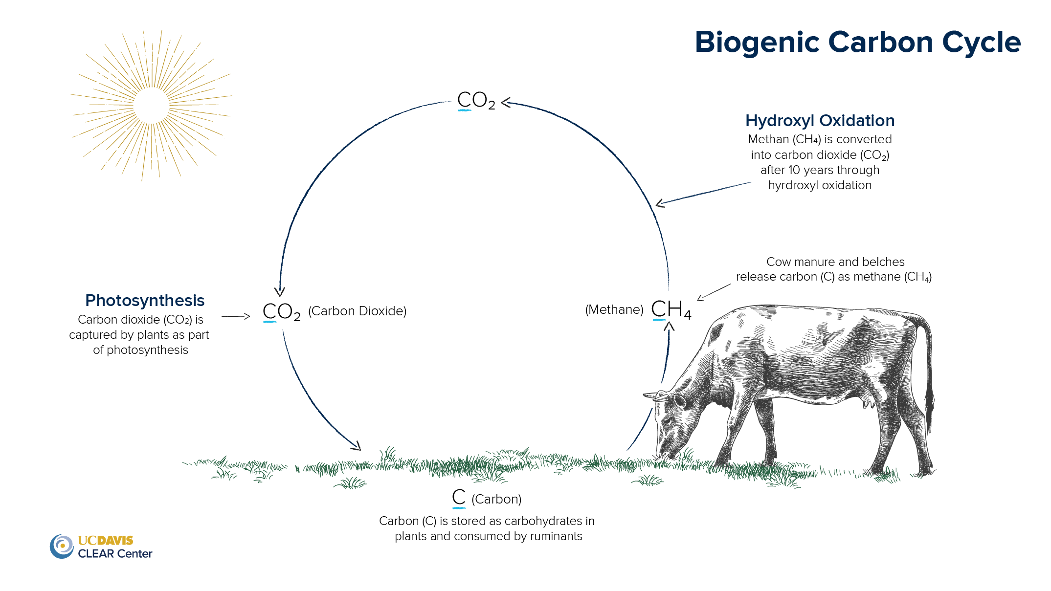 Biogenic Carbon Cycle Cattle Methane