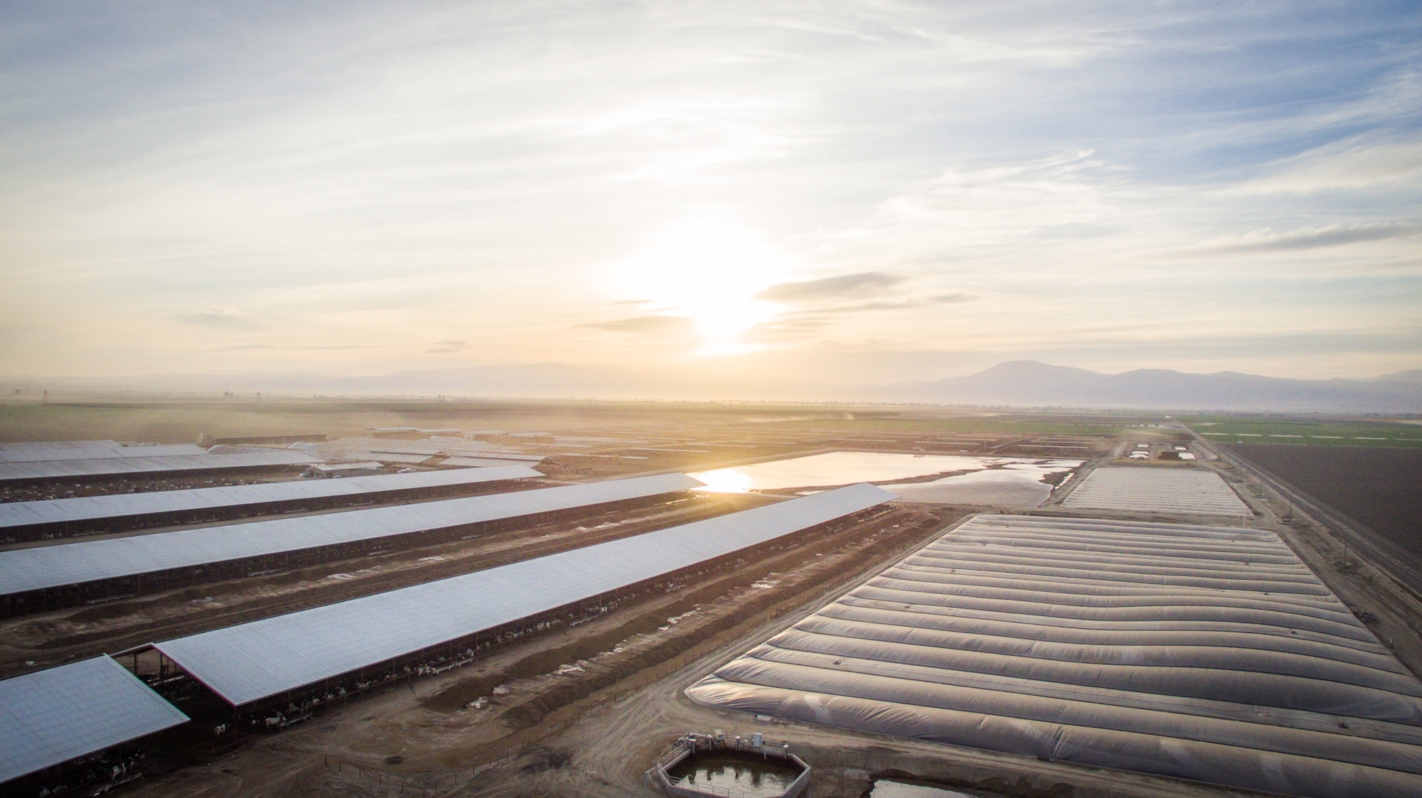 Dairy Digester in California