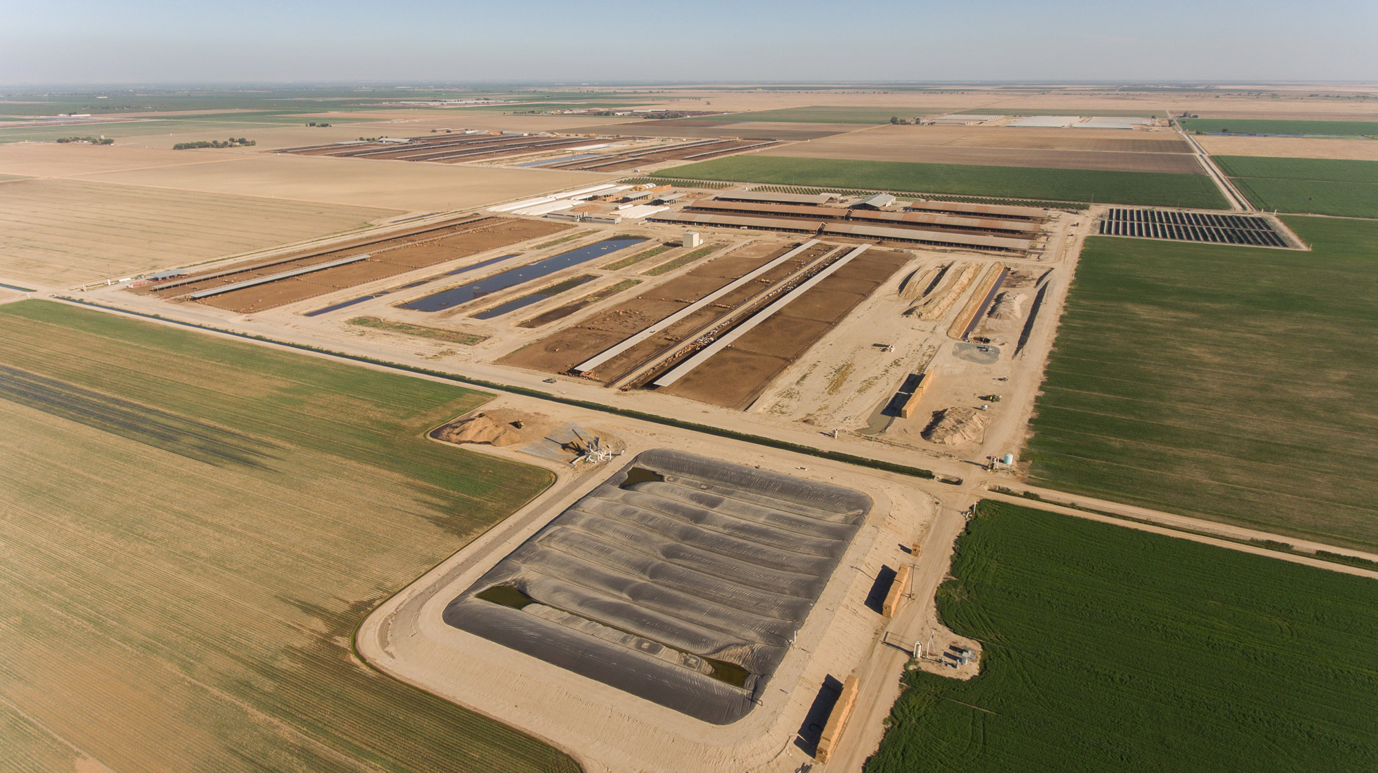 California Dairy with digester