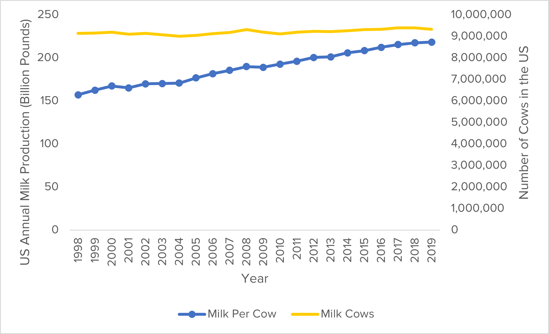 dairy cow productivity