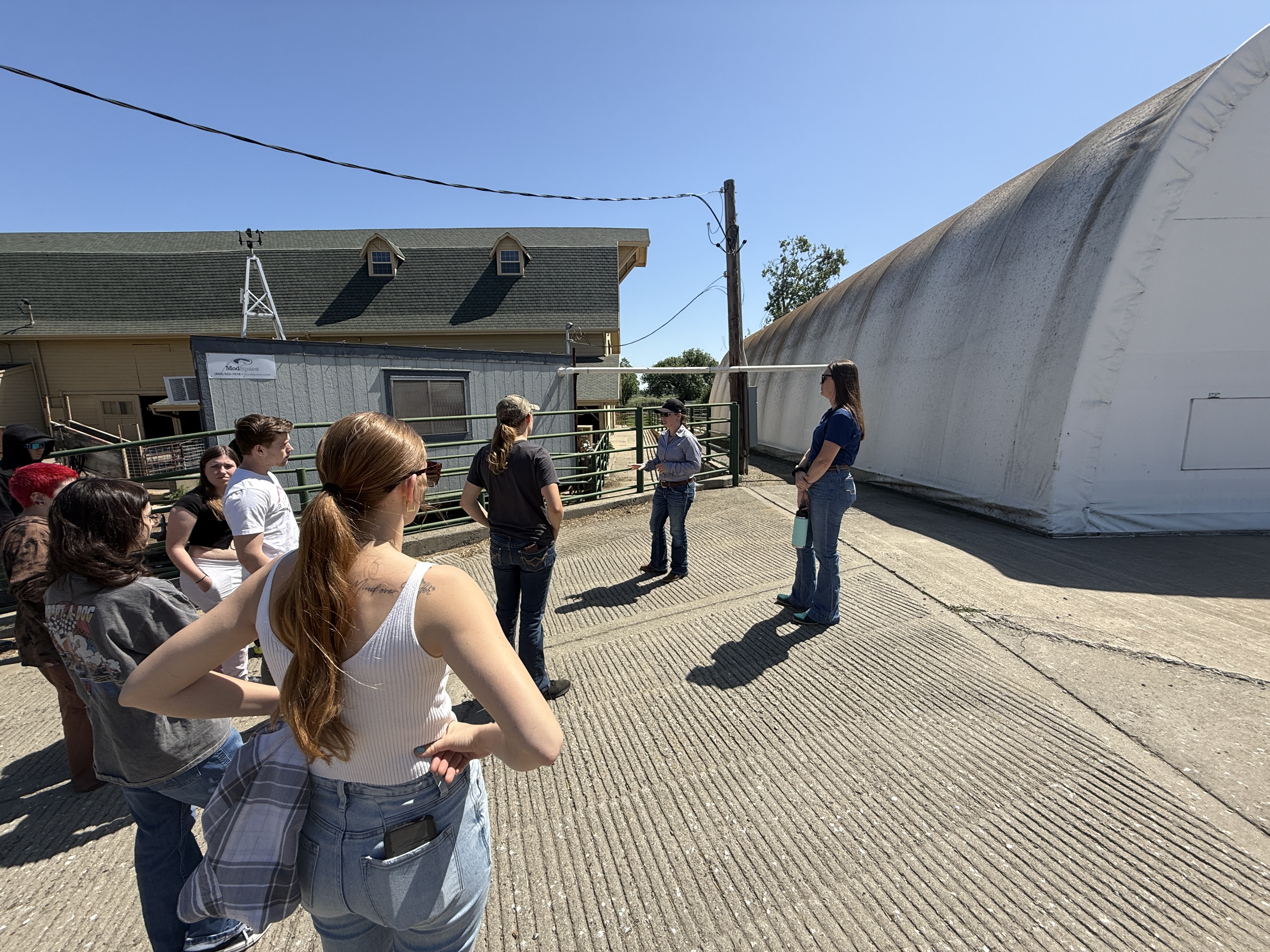Students listen to a tour at the cattle bubbles