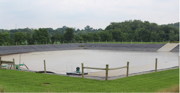 manure lagoon system with trees in background