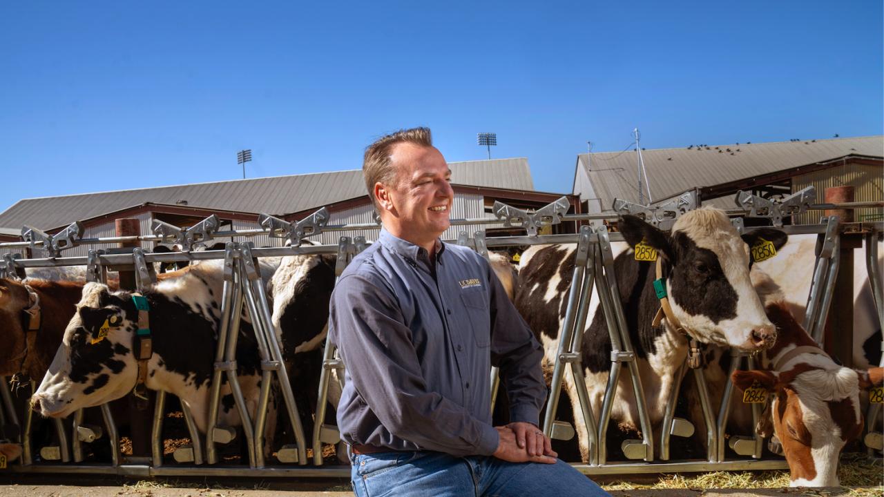 Frank Mitloehner Podcast with Cattle