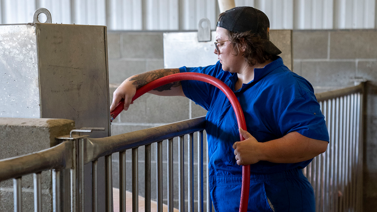 Biosecurity practices protect pigs and people