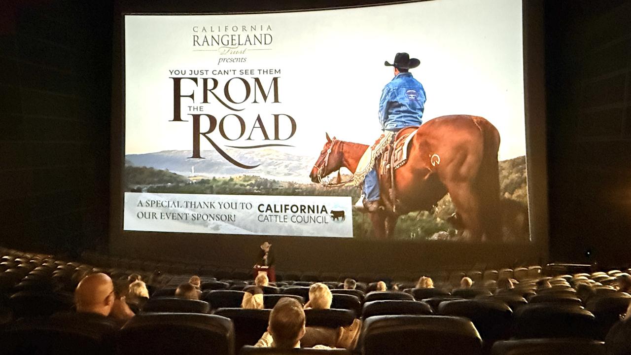 A movie screen with the words "You just can't see them from the road" is displayed on the screen