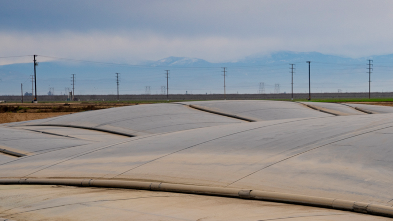 Dr. Frank Mitloehner Joins Carbon and Cow$ Podcast to Discuss Anaerobic Manure Digesters on California Dairy Farms