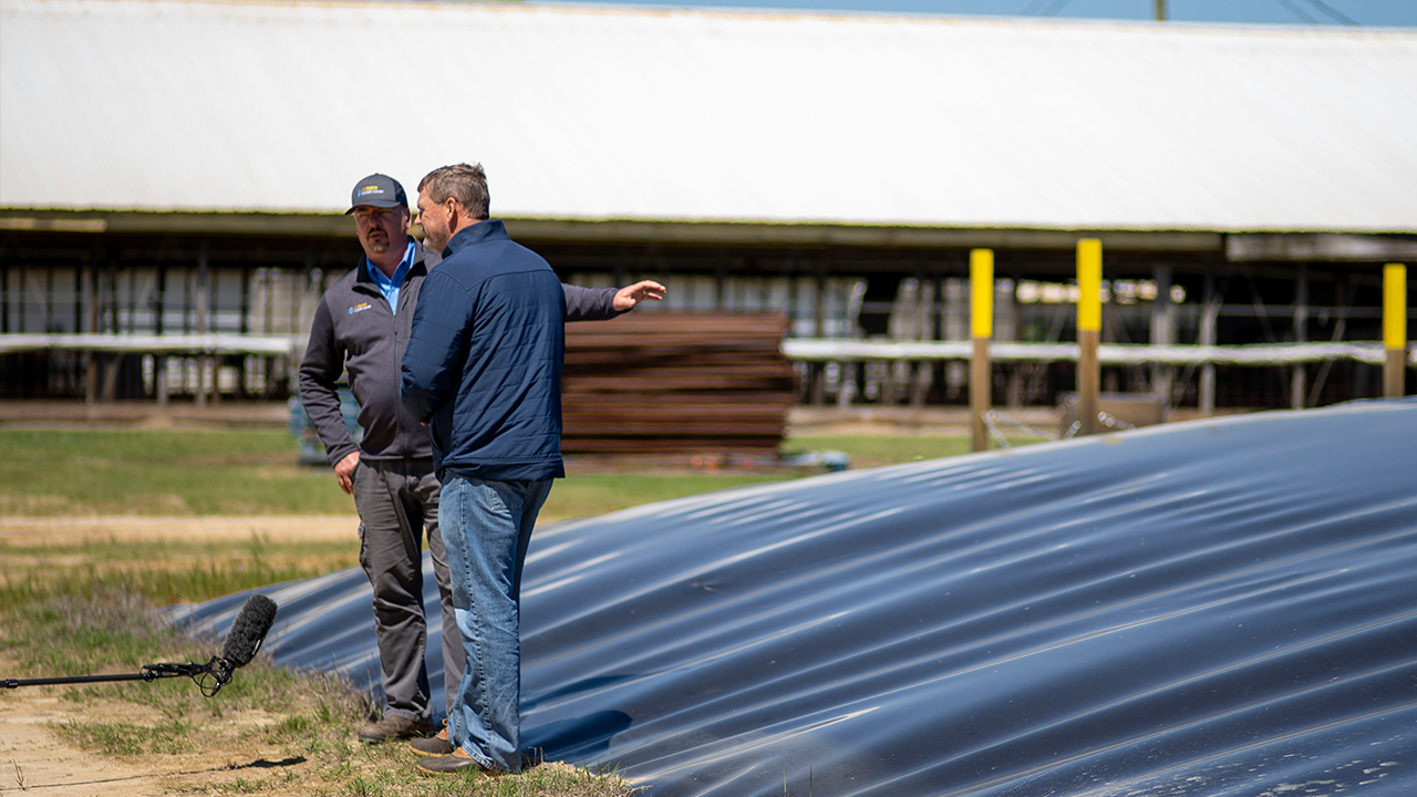 Anaerobic digester on pig farm