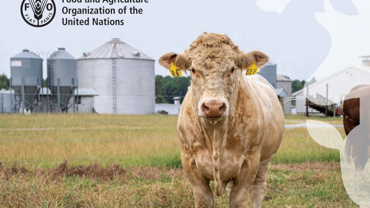 Cover image of FAO Methane Report