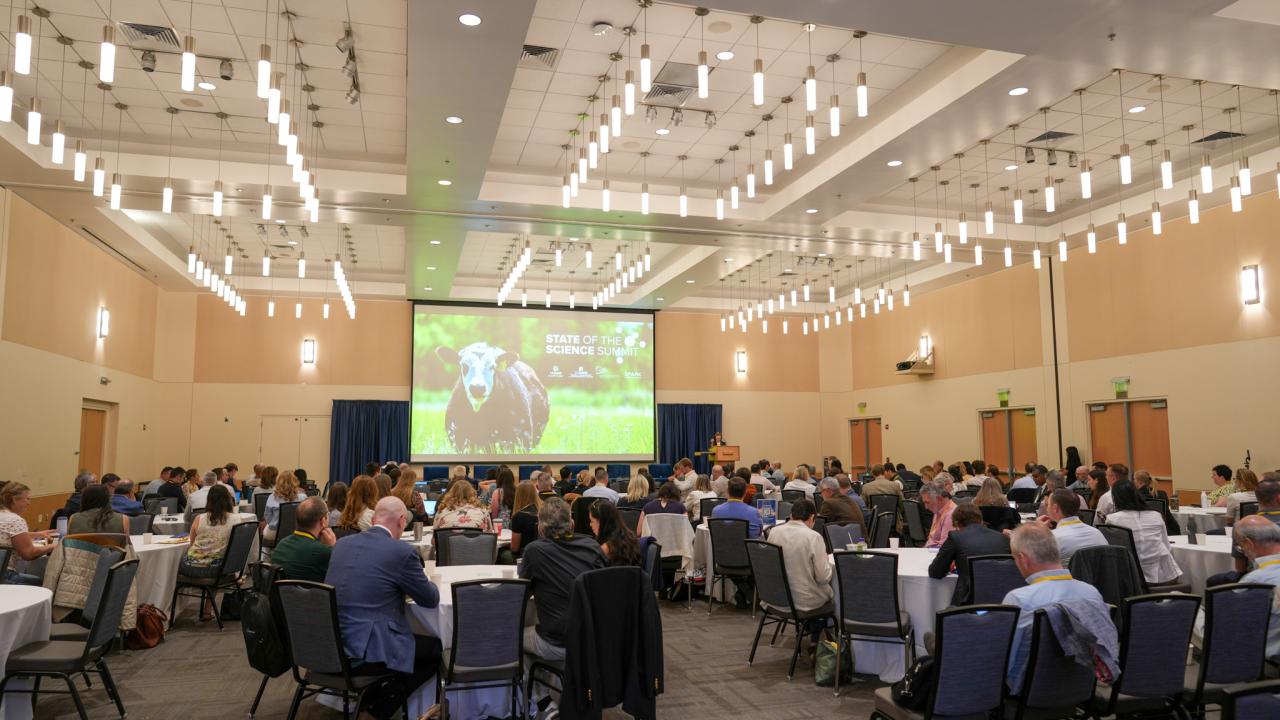 A ballroom is full of people sitting in chairs around round tables listening to a presentation.