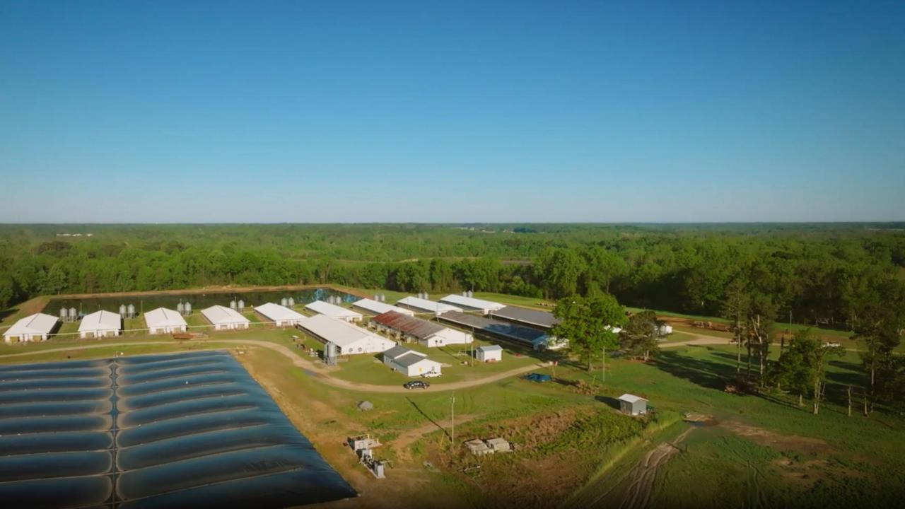 Anaerobic digester on swine farm.
