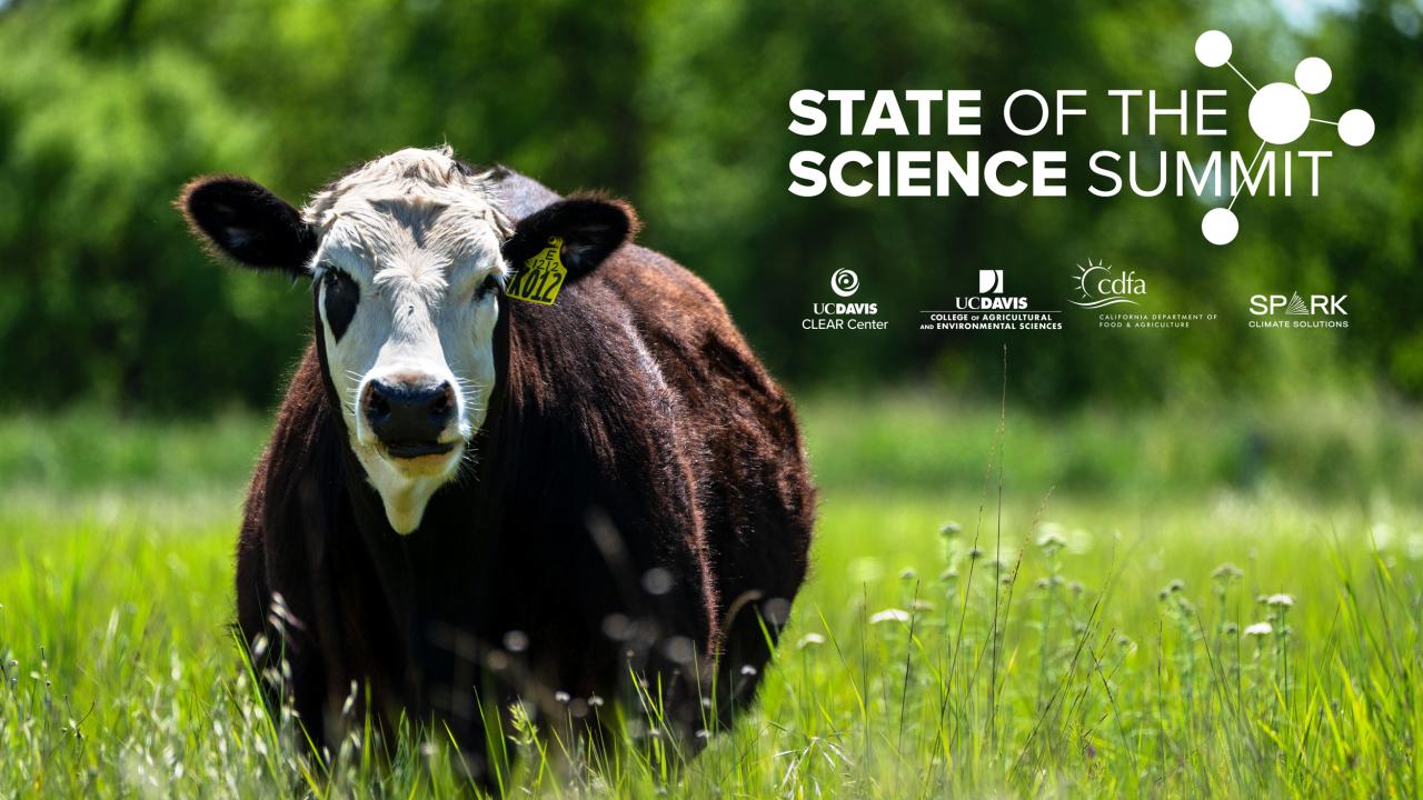 Steer in field with State of the Science logo
