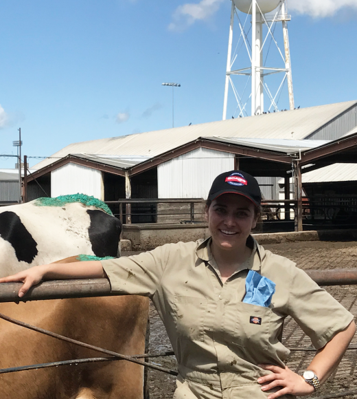 woman with baseball cap standing in front of UC Davis dairy cow pens