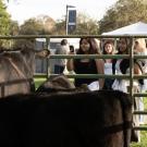 Three women leaning on a metal fence, smiling while watching cows at an outdoor fair.