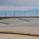 Dr. Frank Mitloehner Joins Carbon and Cow$ Podcast to Discuss Anaerobic Manure Digesters on California Dairy Farms