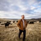 Frank Mitloehner with Beef Cattle at the UC Davis Sierra Foothill Extension Facility 