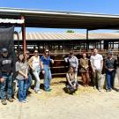 A group of students is standing in front of cattle at the UC Davis feedlot