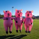 Three people in pig costumes are jumping in the air
